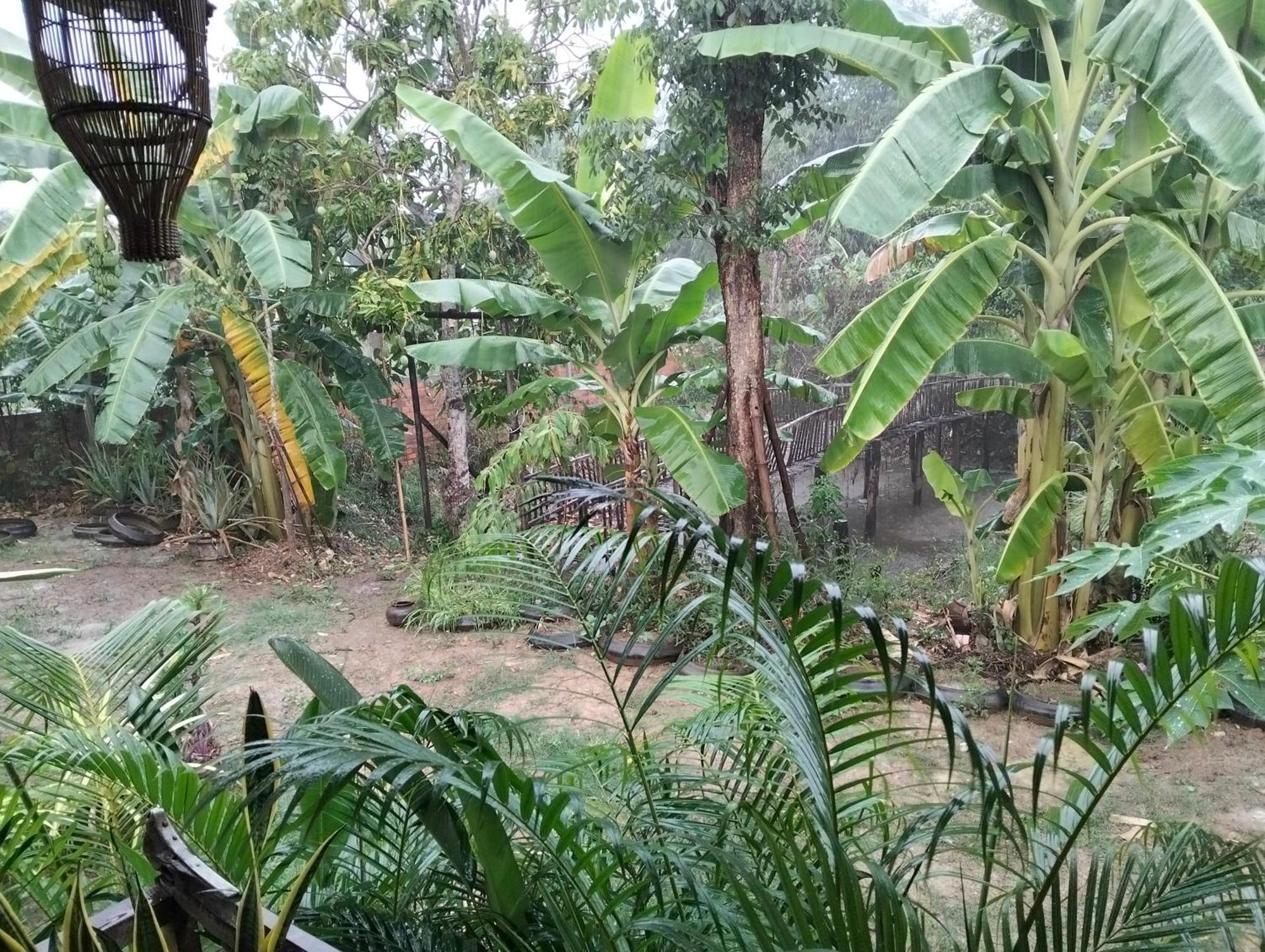 Odambang Village Homestay Battambang Eksteriør bilde